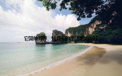 它简单易养, 让我们的生活更加美好