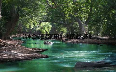 浇水金桔喜湿润环境, 但要避免积水