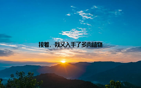 接着, 我又入手了多肉植物