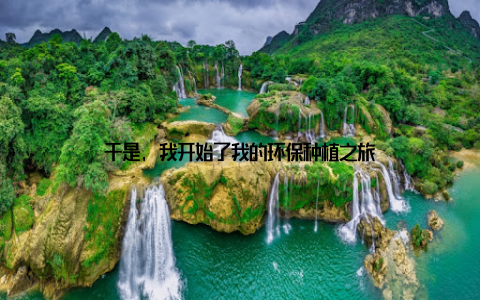 于是, 我开始了我的环保种植之旅