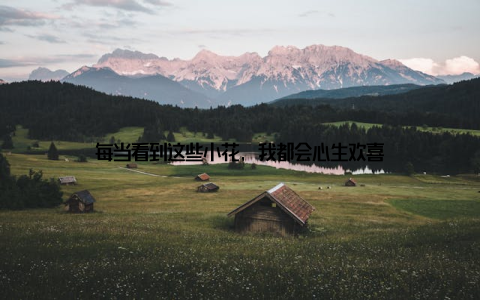 每当看到这些小花, 我都会心生欢喜