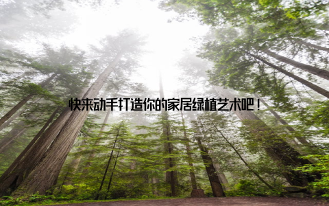 快来动手打造你的家居绿植艺术吧!