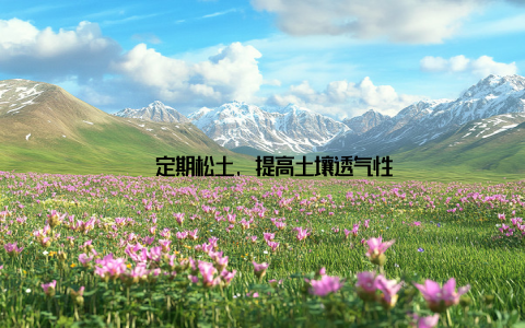 – 定期松土, 提高土壤透气性