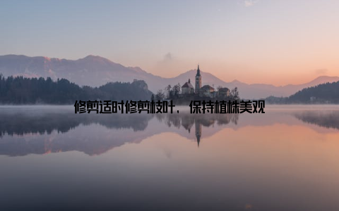 修剪适时修剪枝叶, 保持植株美观