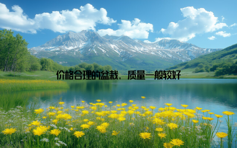 价格合理的盆栽, 质量一般较好