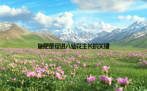 施肥是促进八仙花生长的关键