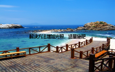 解决方法增加光照, 适量施肥