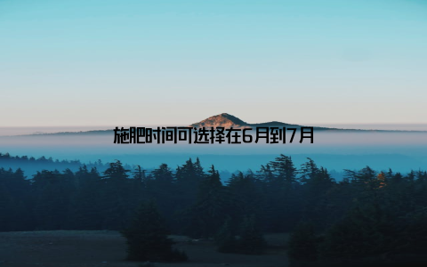 施肥时间可选择在6月到7月