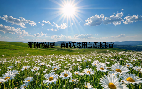 那种成就感, 真的无法用言语来形容