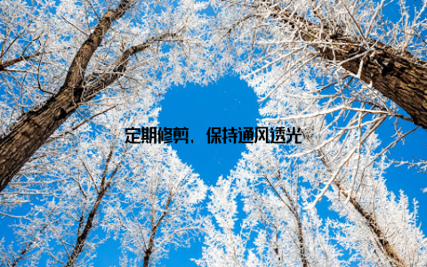 定期修剪, 保持通风透光