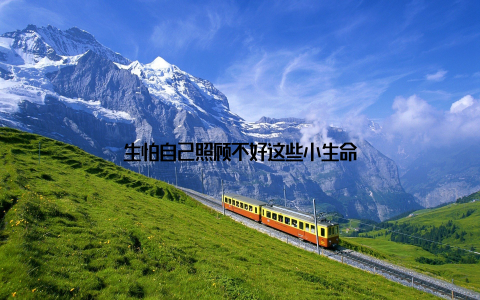 生怕自己照顾不好这些小生命