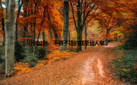 说到盆栽, 不得不提的就是仙人掌了