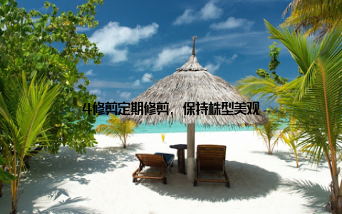 4修剪定期修剪, 保持株型美观