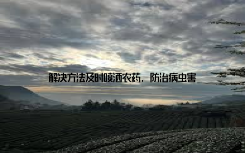 解决方法及时喷洒农药, 防治病虫害