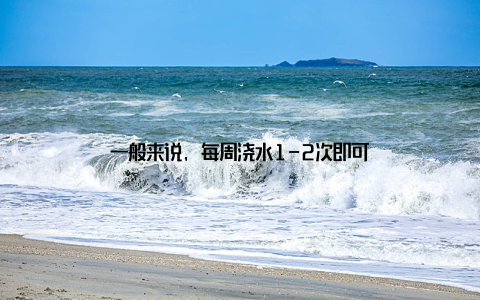 一般来说, 每周浇水1-2次即可