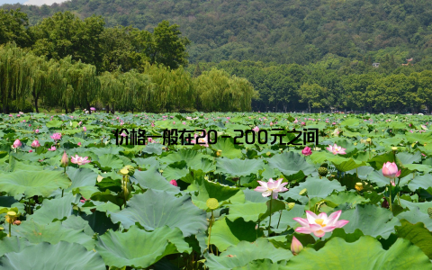 价格一般在20-200元之间