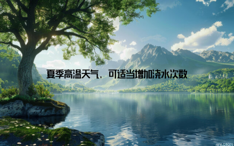 夏季高温天气, 可适当增加浇水次数