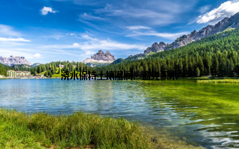 浇水保持土壤湿润, 避免积水