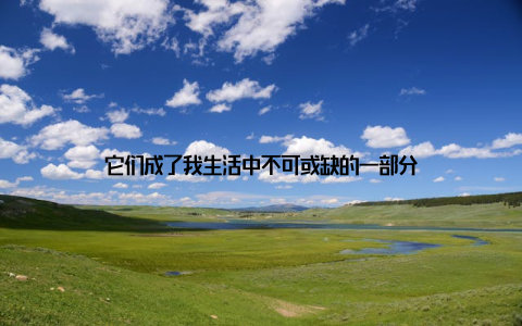 它们成了我生活中不可或缺的一部分