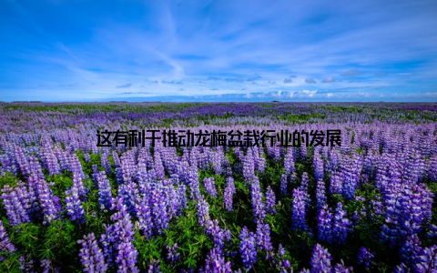 这有利于推动龙梅盆栽行业的发展