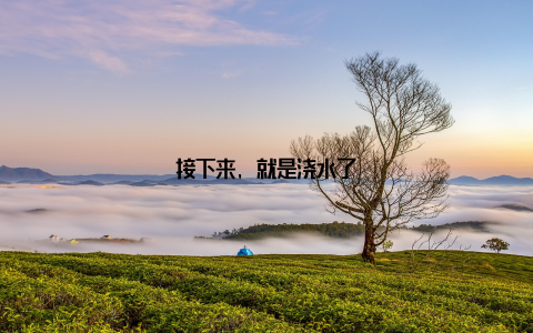 接下来, 就是浇水了