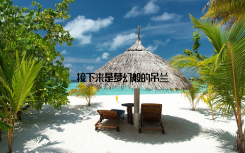 接下来是梦幻般的吊兰