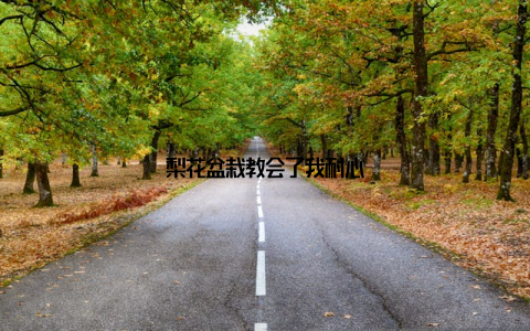 梨花盆栽教会了我耐心