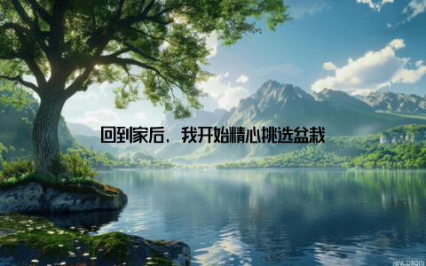 回到家后, 我开始精心挑选盆栽