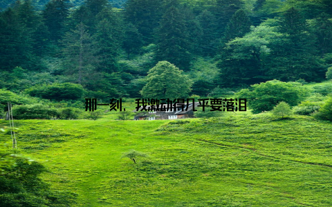 那一刻, 我激动得几乎要落泪