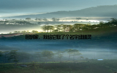 回到家, 我给它取了个名字绿精灵