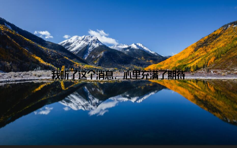 我听了这个消息, 心里充满了期待