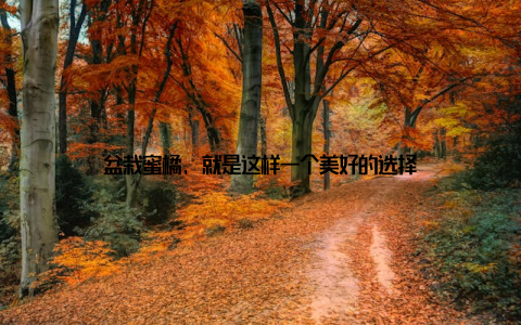 盆栽蜜橘, 就是这样一个美好的选择