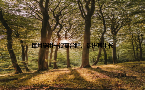 每月施用一次复合肥, 促进其生长