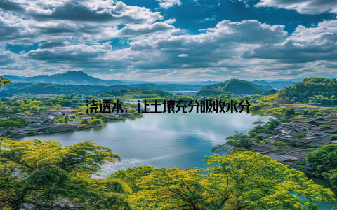 浇透水, 让土壤充分吸收水分