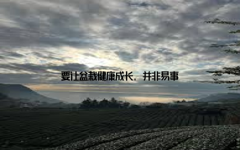 要让盆栽健康成长, 并非易事