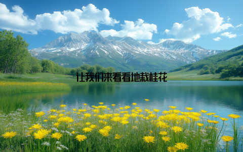 让我们来看看地栽桂花