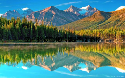 室内阳台或室外庭院都是不错的选择