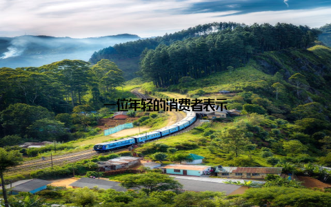 一位年轻的消费者表示