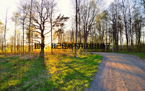 如今, 我已经离不开这些绿植了