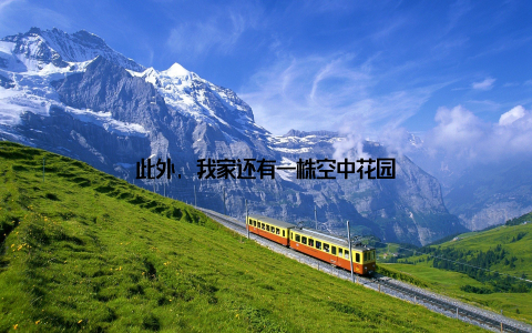 此外, 我家还有一株空中花园