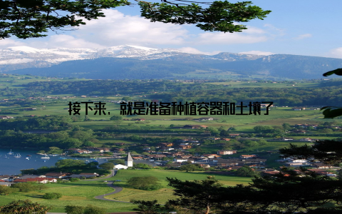 接下来, 就是准备种植容器和土壤了