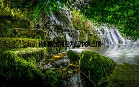 我们要选择肥力适中的土壤