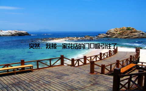 突然, 我被一家花店的门口吸引住了