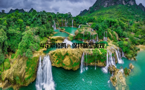 4定期修剪, 保持株型美观