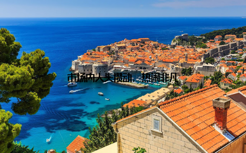 市场内人头攒动, 热闹非凡