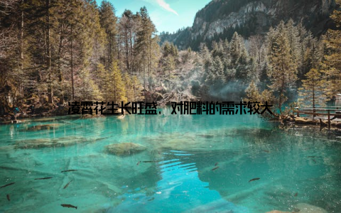 凌霄花生长旺盛, 对肥料的需求较大