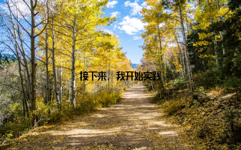 接下来, 我开始实践