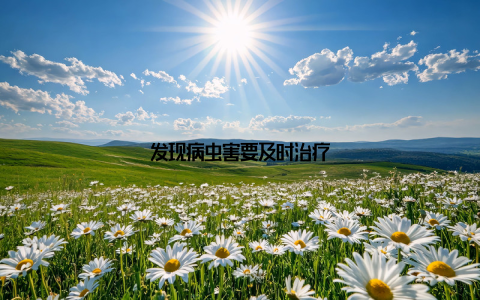 发现病虫害要及时治疗