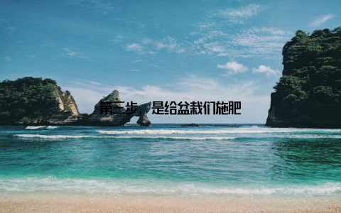 第三步, 是给盆栽们施肥