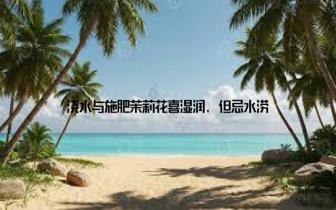 浇水与施肥茉莉花喜湿润, 但忌水涝